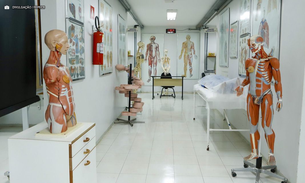 Fepecs abre inscrições para iniciação científica voluntária na saúde
