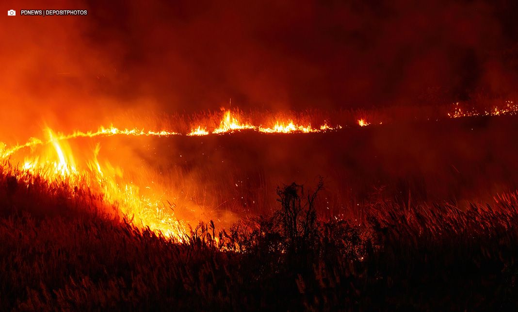 STF determina a União, desapropriação de terras alvo de incêndio ou desmatamento ilegal