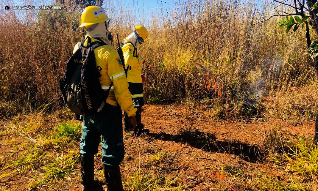 DF ganha lei que amplia ações de prevenção e combate aos incêndios florestais