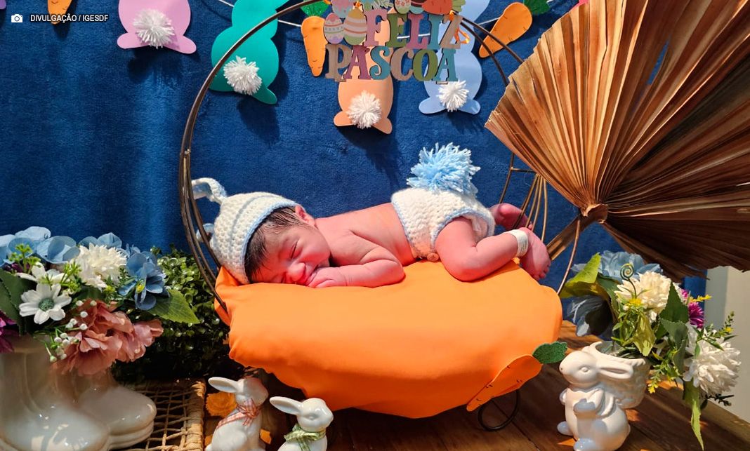 Equipe do centro obstétrico do HRSM faz ensaio de Páscoa com recém-nascidos