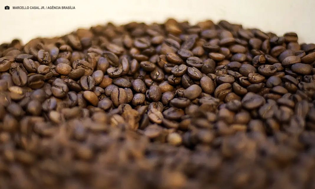 Ministério da Agricultura e Pecuária reprova três marcas de café por serem impróprias para consumo
