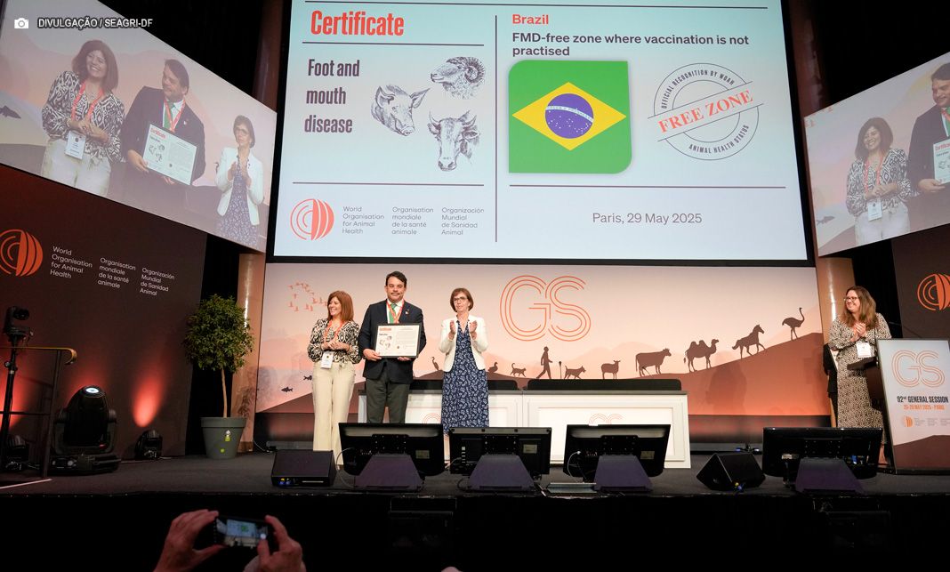 OMSA reconhece Brasil como zona livre de febre aftosa sem vacinação