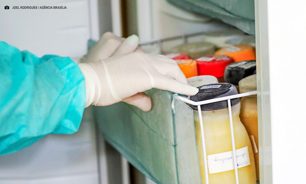 Dia das Mães reforça importância da doação de leite materno; saiba como doar