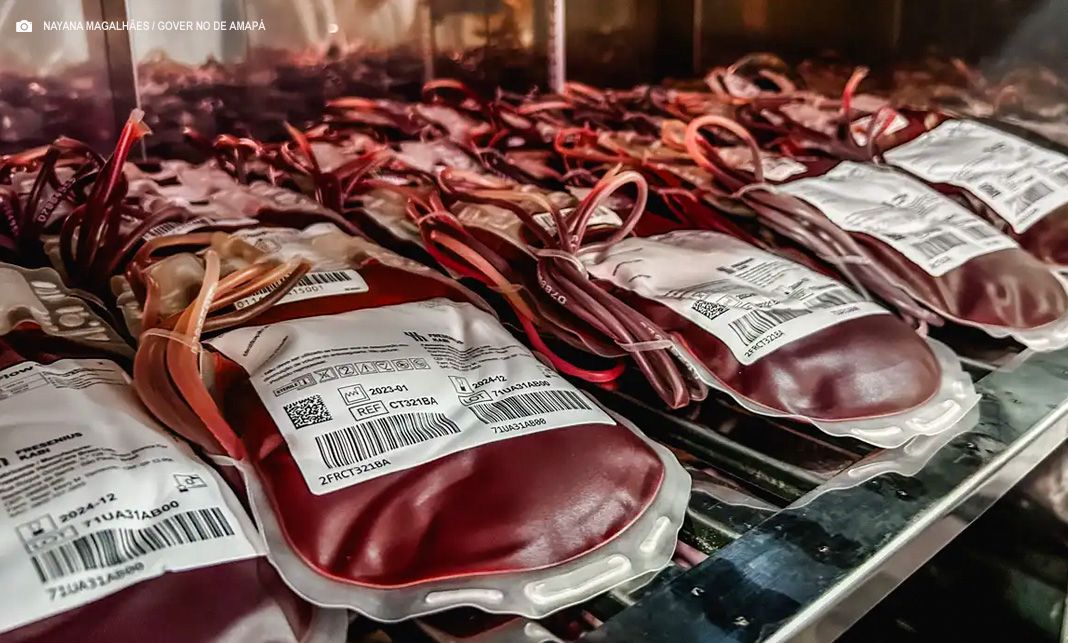 Dia Mundial do Doador de Sangue: uma única doação pode salvar 3 vidas
