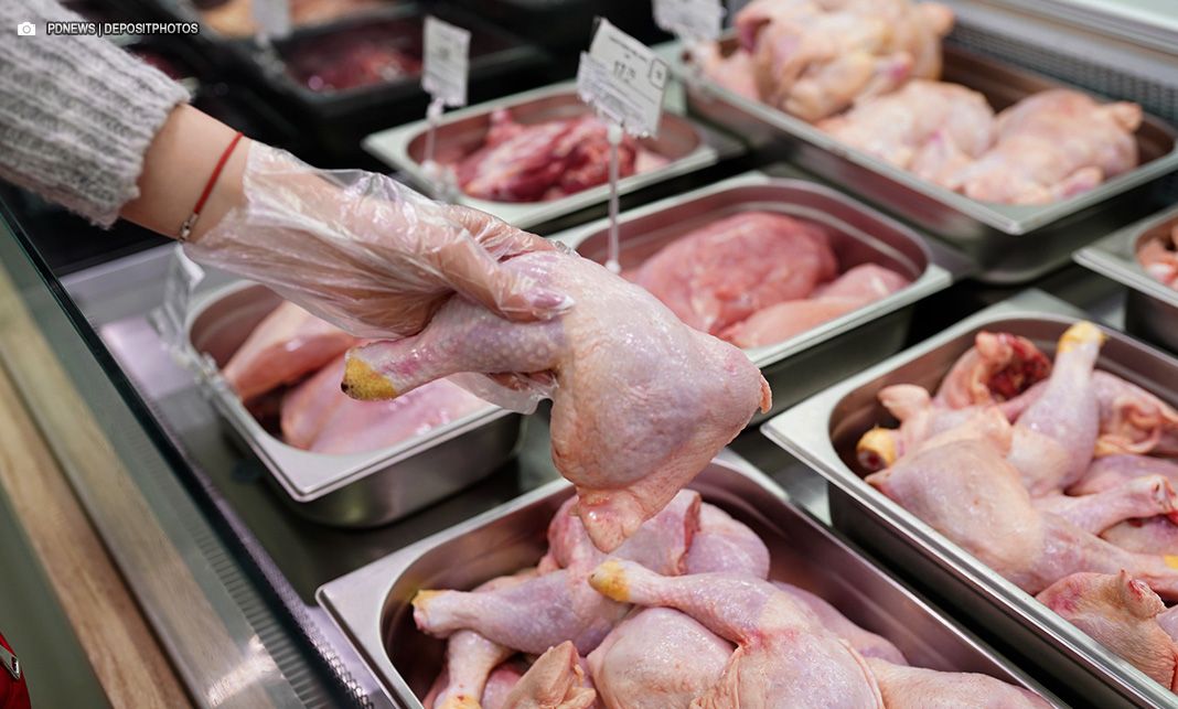 Gripe aviária: 17 países suspendem restrição à carne brasileira