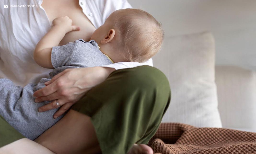 Mais qualidade: Hospital de Santa Maria busca certificação em cuidado materno-infantil