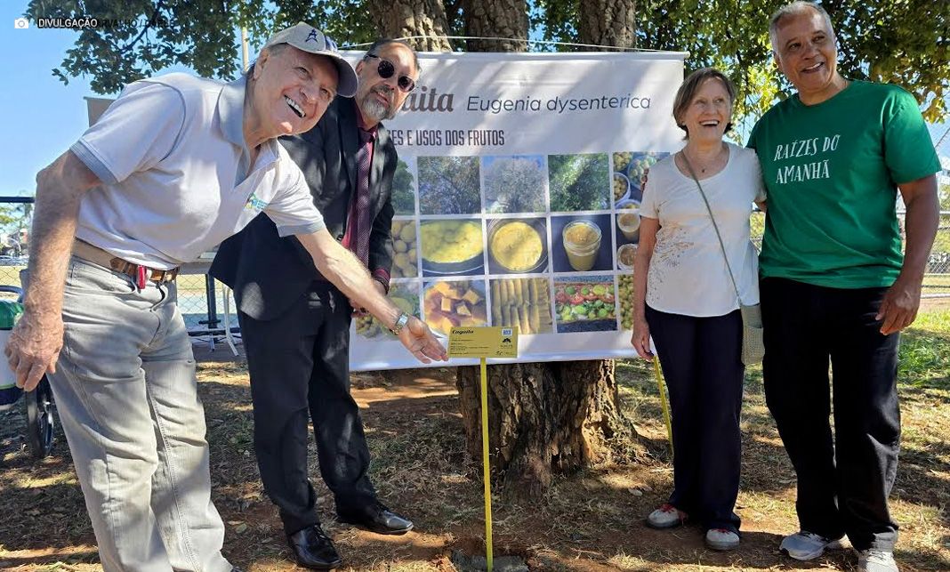 Projeto ‘Raízes do Amanhã’ promove uso sustentável de espécies nativas do Cerrado em Brasília