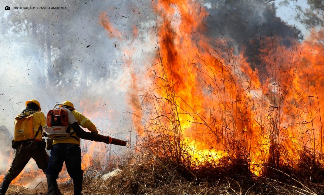 Sai resultado preliminar do curso de formação de brigadas florestais no DF
