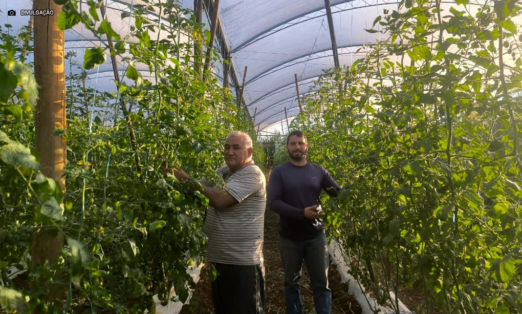 Histórias que evoluem: crédito rural ajuda sucessão familiar e crescimento no campo