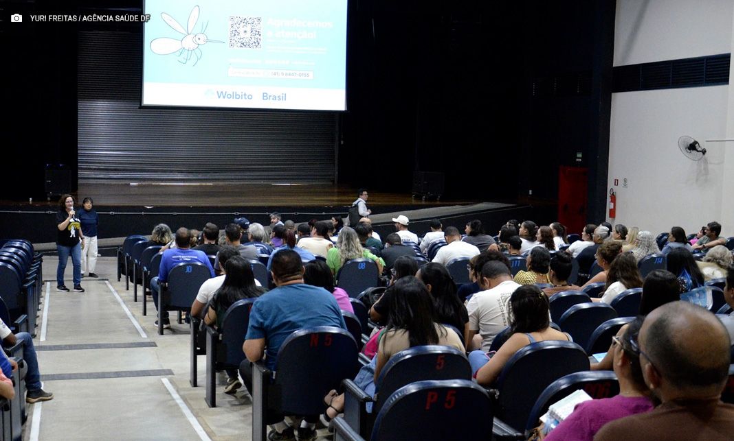 Dengue: Secretaria de Saúde inicia mobilização para uso de mosquitos Wolbito