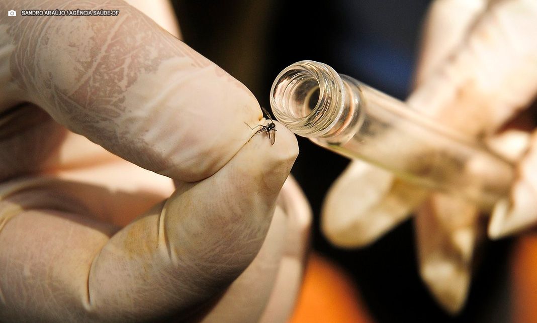 SES-DF se prepara para implementar tecnologia complementar no combate à dengue