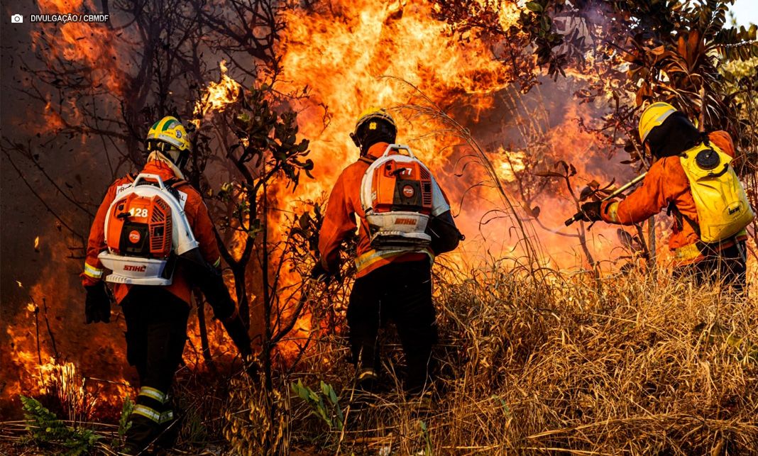 Incêndios florestais diminuem 54% no DF no primeiro semestre de 2025