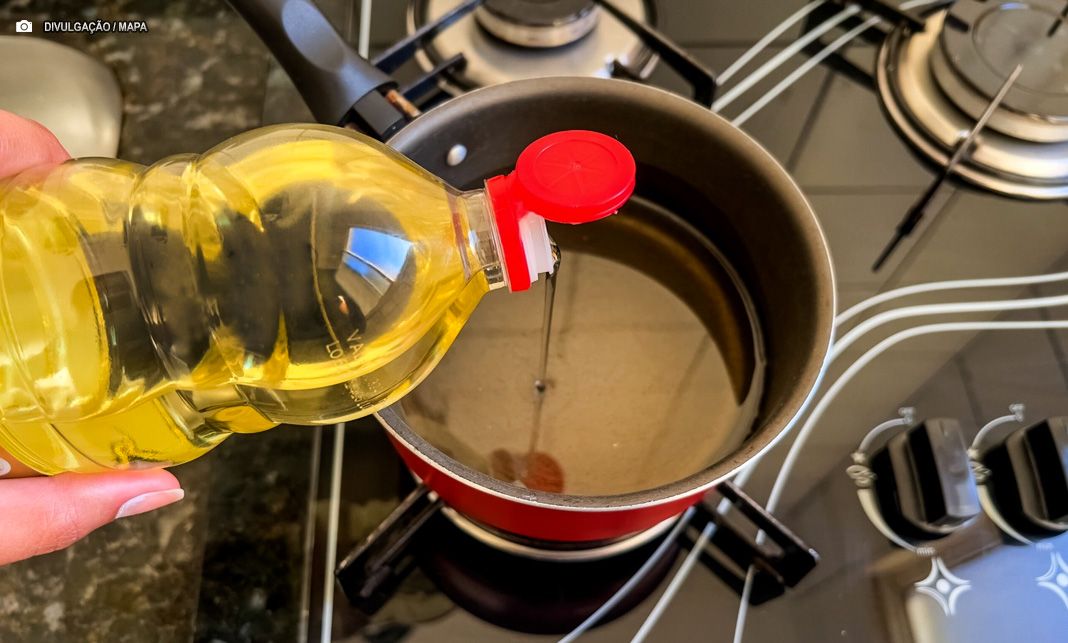 Saiba como descartar óleo de cozinha e azeite sem poluir o meio ambiente