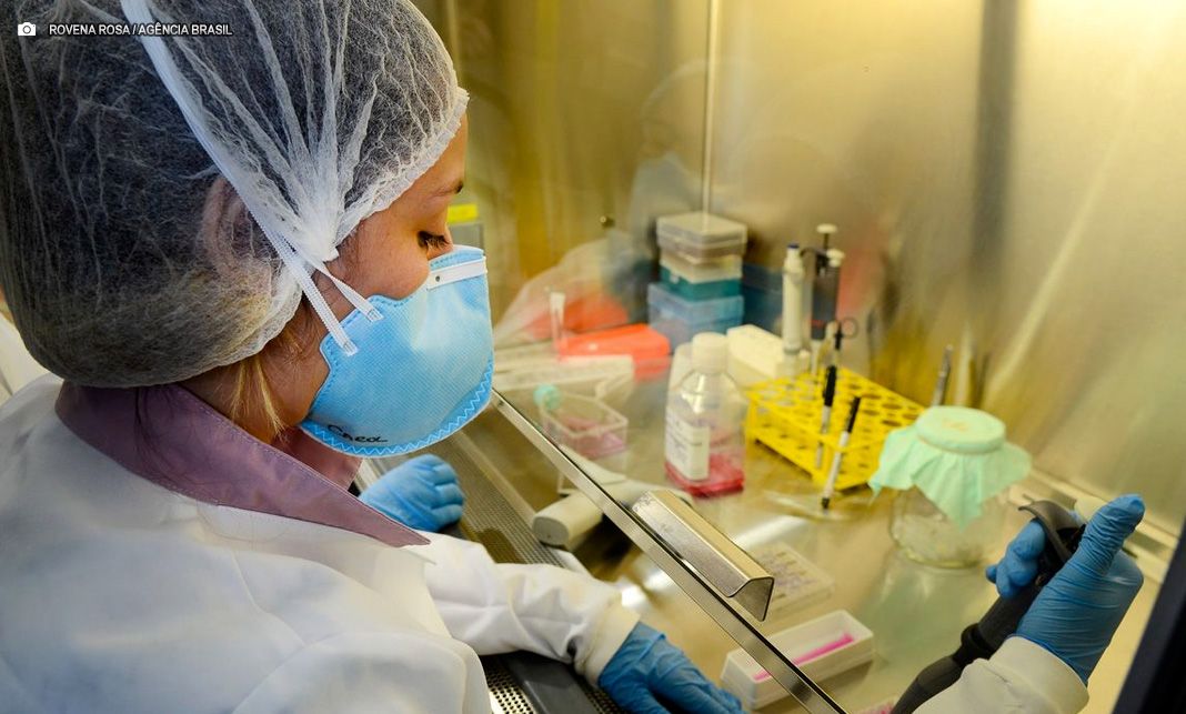 USP: pesquisa de vacina contra zika avança em testes com camundongos