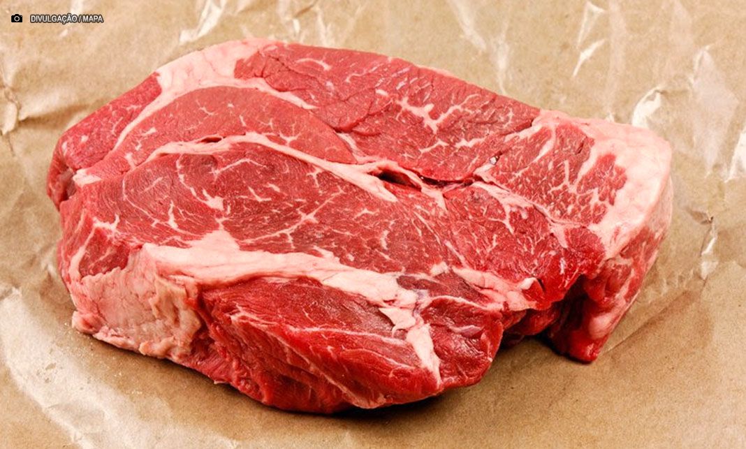 Exportação: Brasil supera marca de 400 novos mercados internacionais abertos