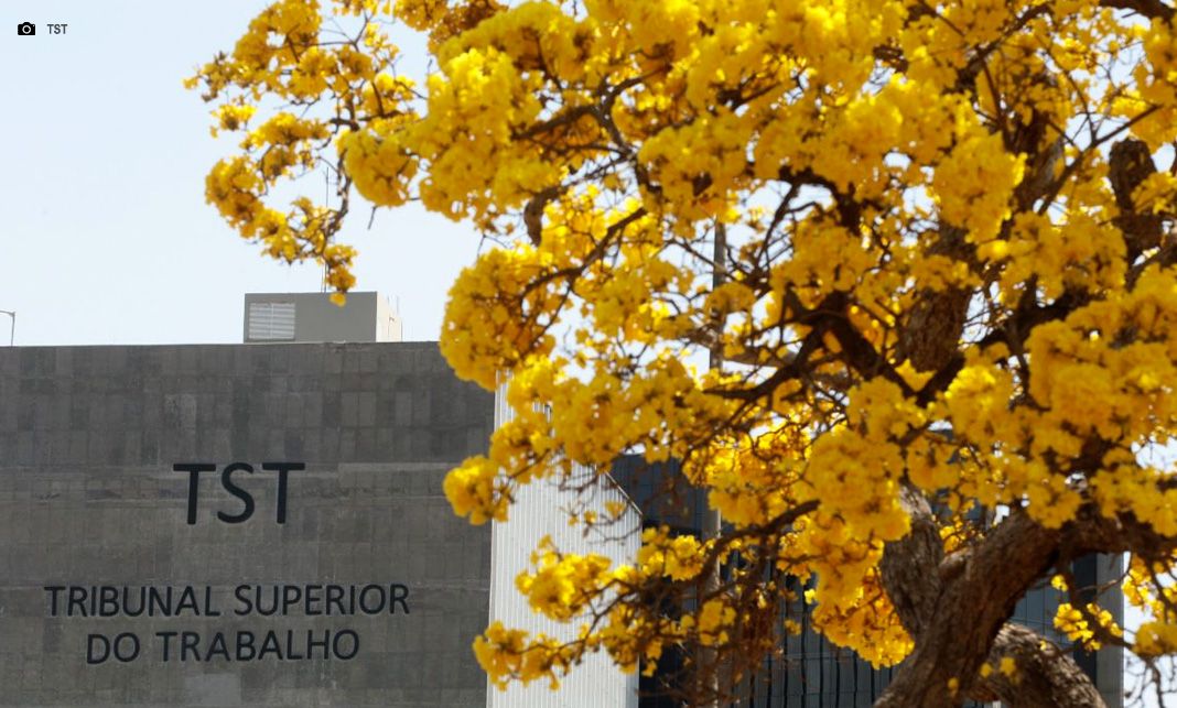 TST elege nova direção para o biênio 2025-2027 na segunda-feira (4)