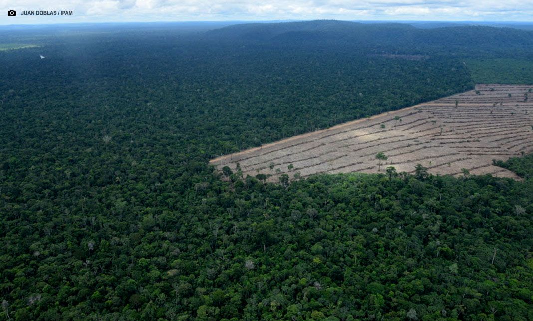 Desmatamento na Amazônia migra de áreas públicas para uso privado
