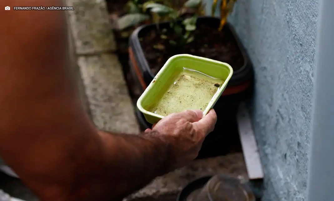 Chikungunya gera alerta sobre controle do vetor e acompanhamento de pacientes após uma década no Brasil