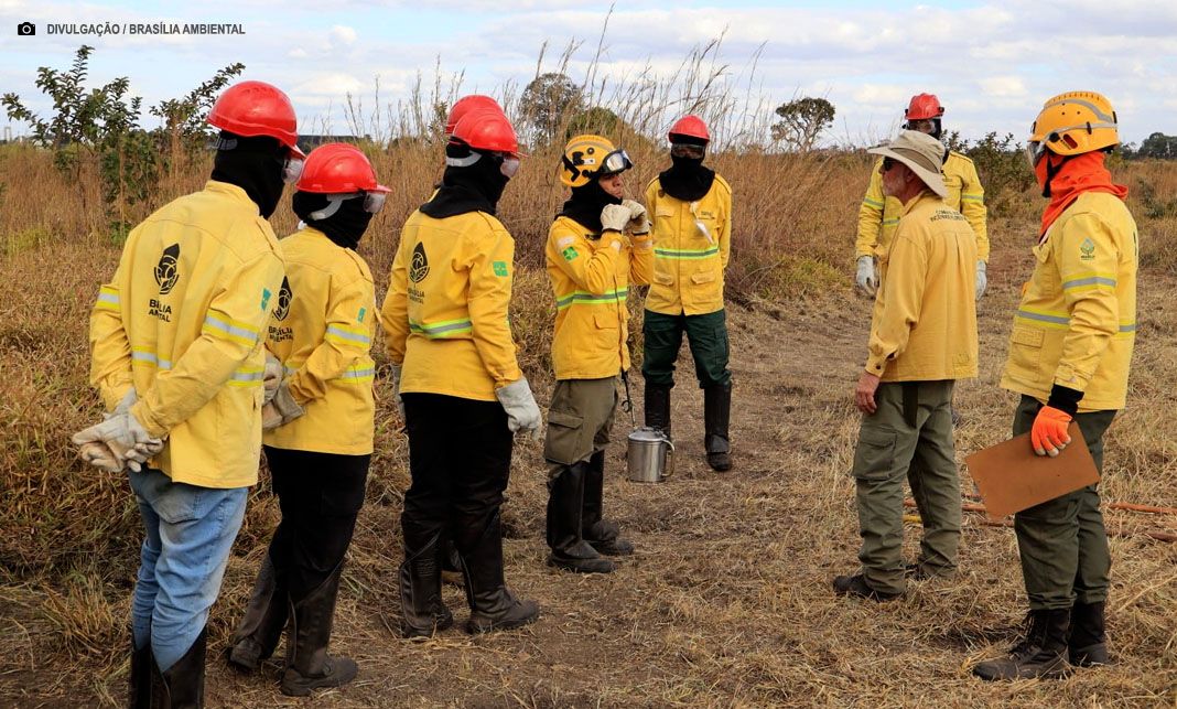 Documentário retrata jornada de formação da Brigada Florestal do DF