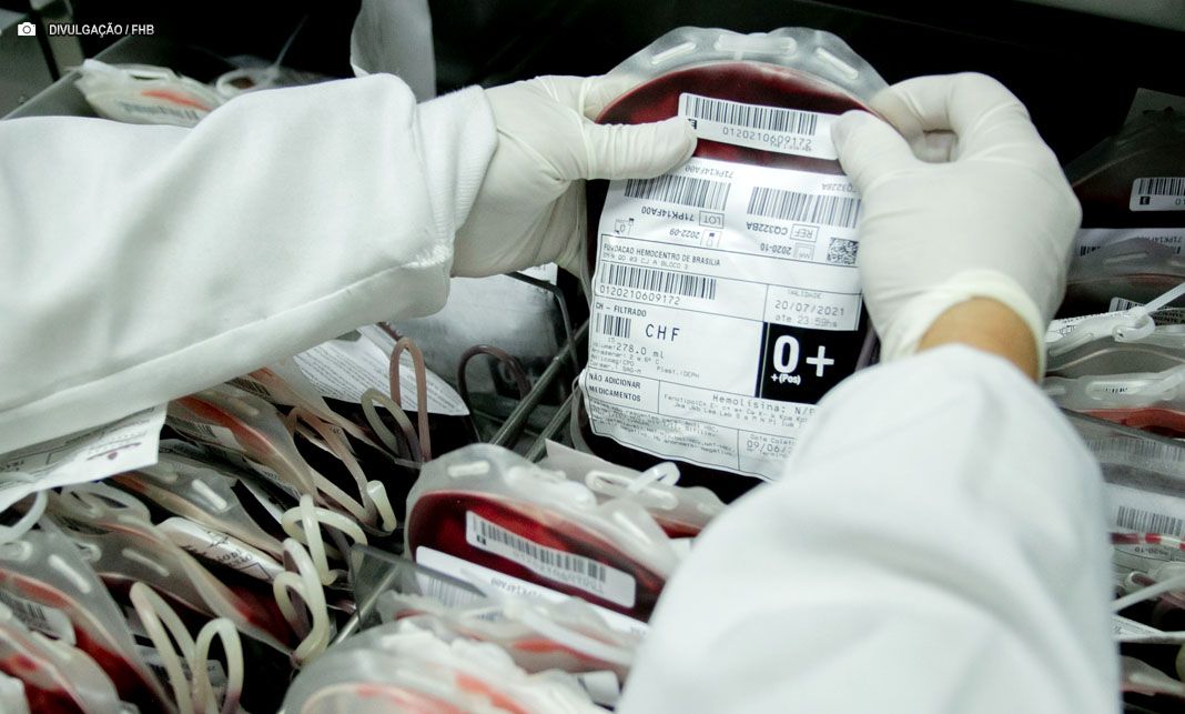 Conselho de Saúde aprova Plano Diretor de Sangue do Hemocentro de Brasília