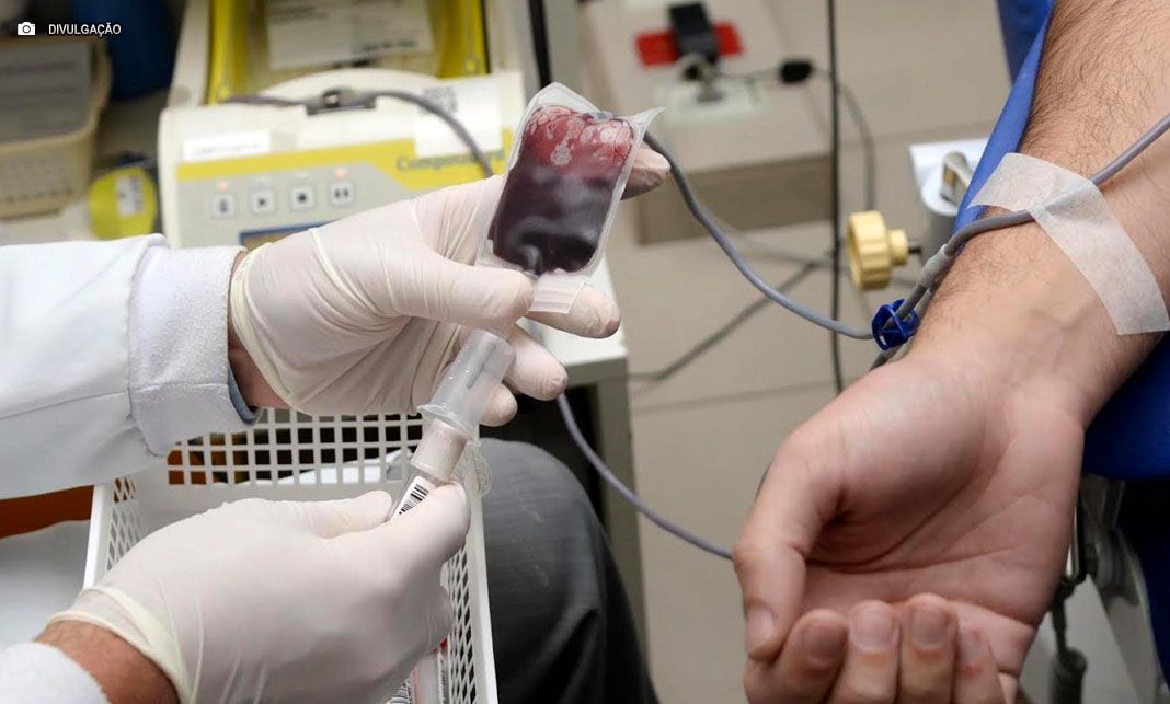 Trote Solidário: Universitários promovem campanha nacional de doação de sangue