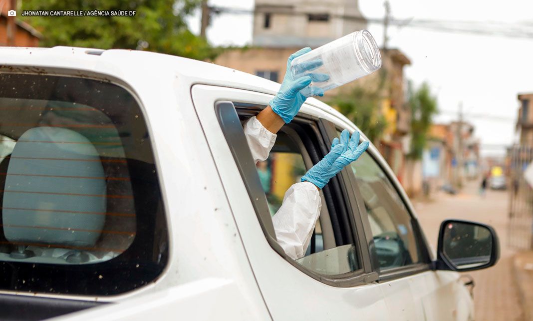Saúde do DF solta ‘mosquitos amigos’ para combater a dengue