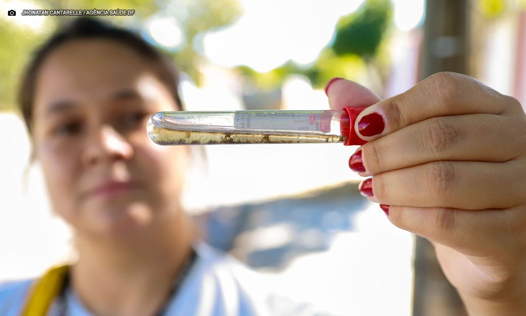 Dengue: Chuvas no DF exigem atenção redobrada no combate ao Aedes aegypti