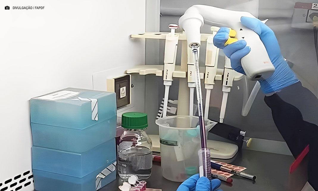 Pesquisa no DF investiga enzima para conter metástase do câncer de mama