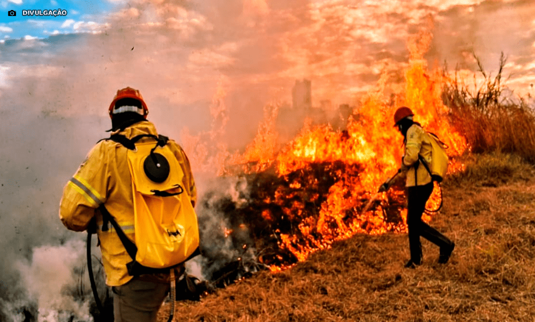 DF participa da COP 30 como referência nacional em sustentabilidade