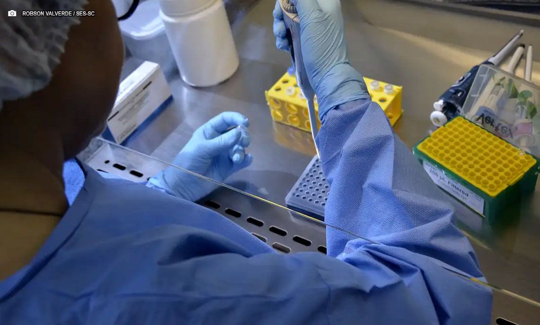 Brasil confirma 17 casos de intoxicação por metanol e investiga mais de 200