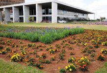 Ponto facultativo do Dia do Servidor Público muda para 27 de Outubro