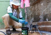 Combate ao Aedes aegypti é intensificado no DF com chegada das chuvas