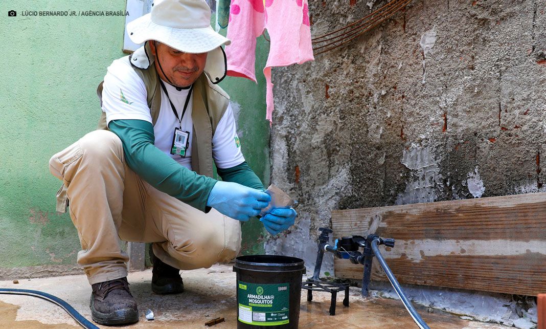 Combate ao Aedes aegypti é intensificado no DF com chegada das chuvas