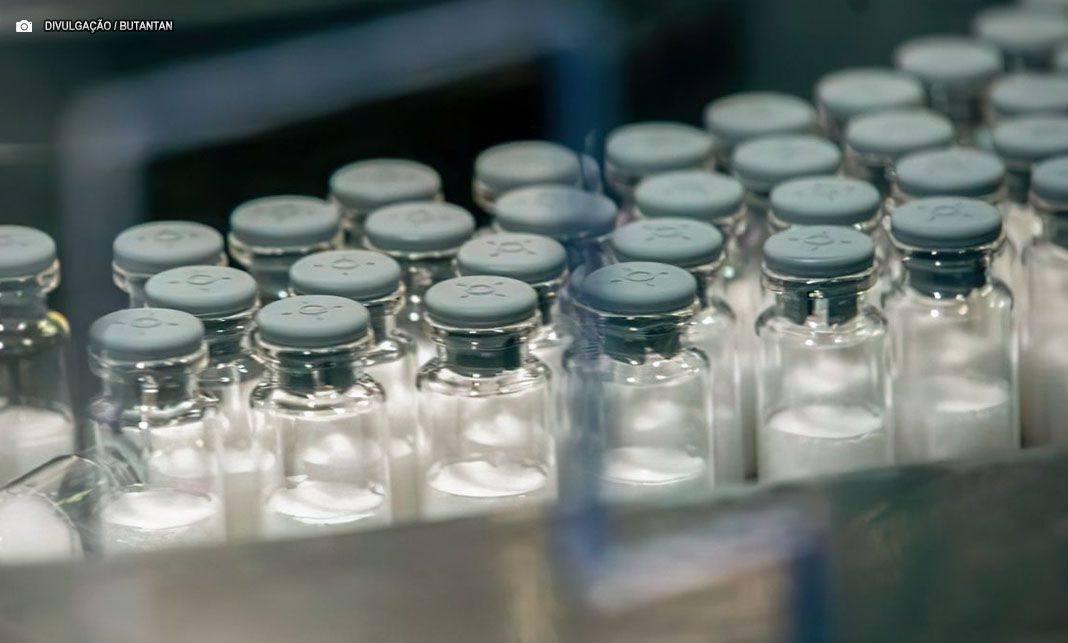 Anvisa deve concluir análise e aprovar vacina de dengue do Butantan em novembro