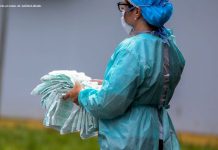 H3N2: Especialista avalia que é cedo para alarme com chegada do vírus K ao Brasil