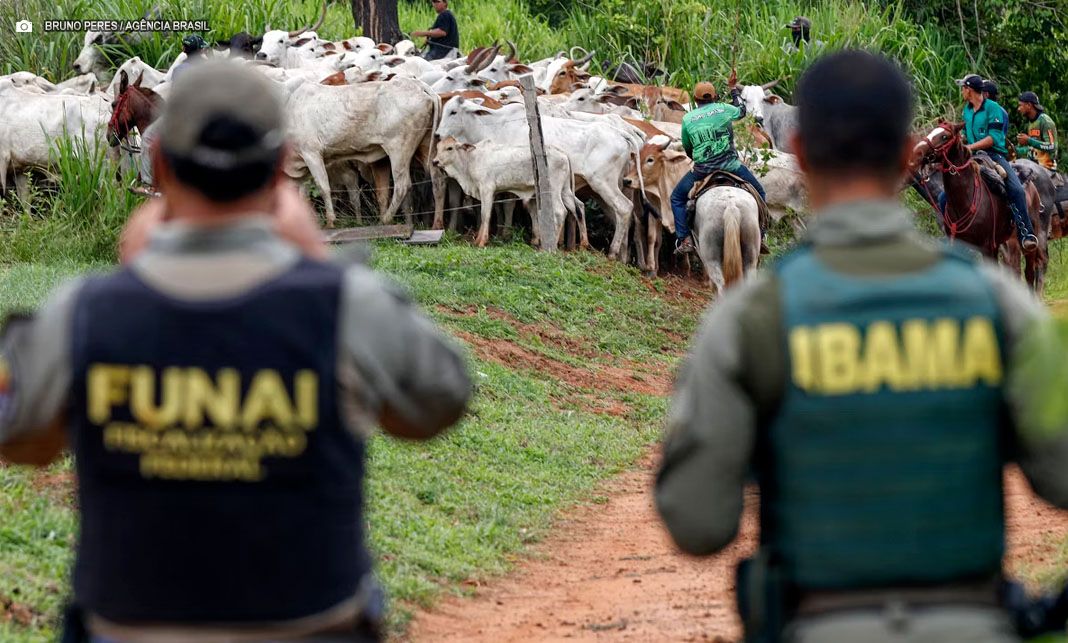 APIB manifesta indignação após assassinato de colaborador do Ibama no Pará
