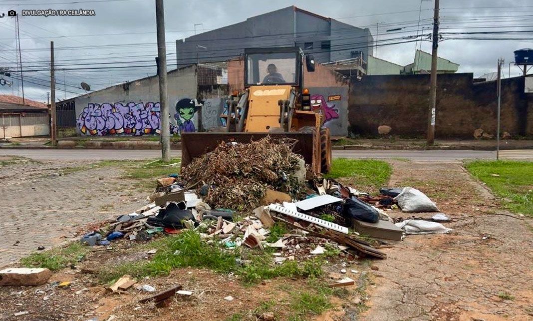 Mutirão em Ceilândia remove 200 toneladas de lixo para combater dengue