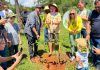 Parque do Cortado recebe 15 mil mudas do Cerrado no Dia de Plantar