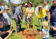 Parque do Cortado recebe 15 mil mudas do Cerrado no Dia de Plantar