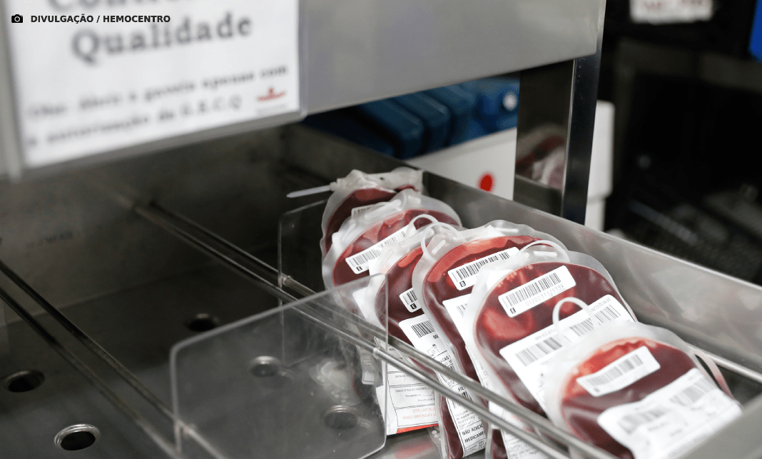 Hemocentro abre inscrições para curso de atualização em transfusão de hemocomponentes