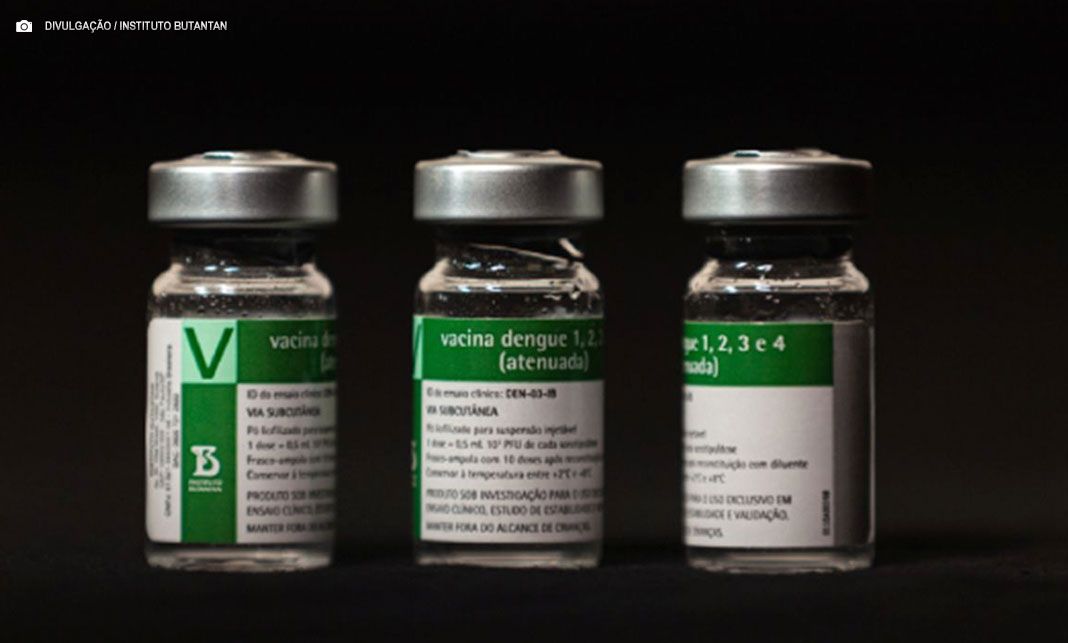 Vacinação com imunizante do Butantan deve começar dia 17 no combate a dengue no país