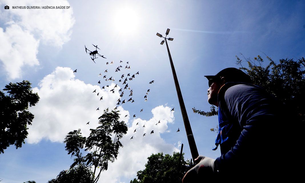 Combate a dengue: DF visitou mais de 1,8 milhão de residências no DF