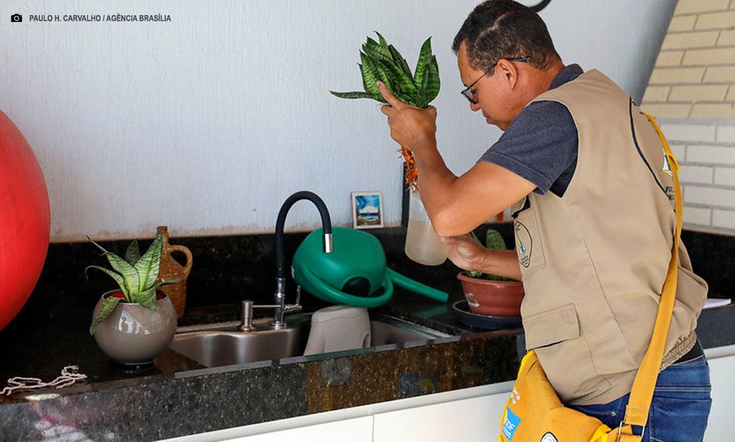 Casos prováveis de dengue no DF registram queda de 96% em 2025