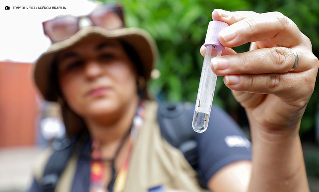 Casos prováveis de dengue no DF registram queda de 96% em 2025