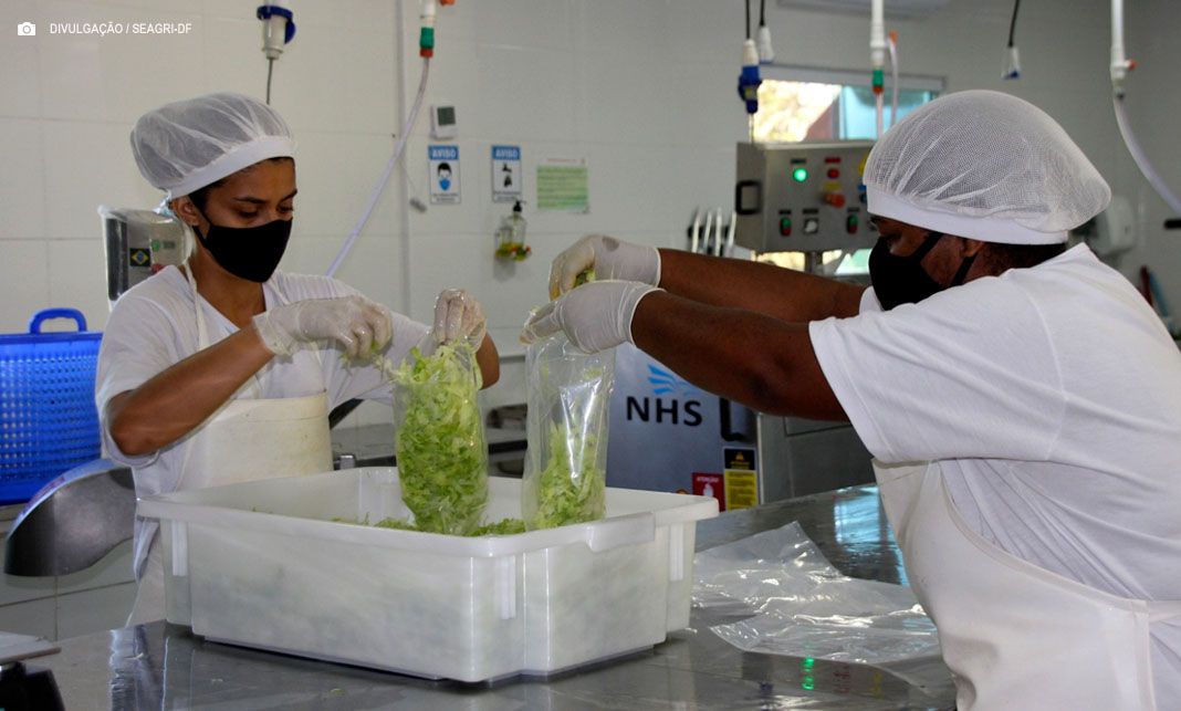 Registro sanitário assegura qualidade de alimentos e amplia mercado para agroindústrias