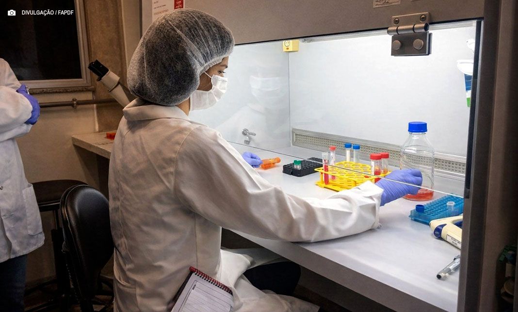 Com aporte de R$ 4 milhões, FAPDF lança programa de pós-graduação