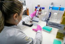 Distrito Federal registra alta de 8,23% no número de exames do Teste do Pezinho em 2025