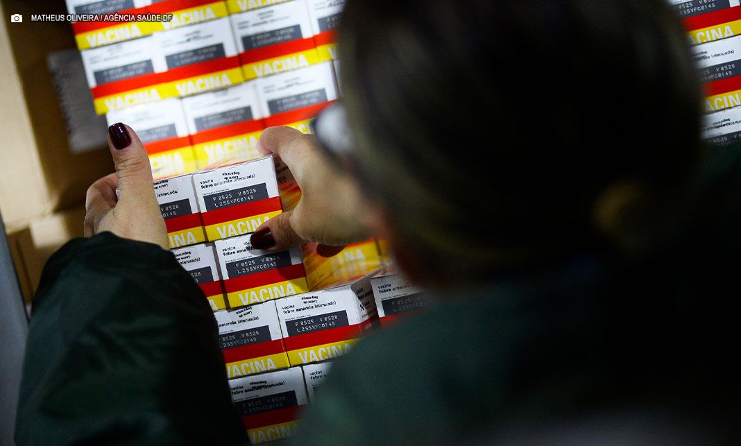 DF recebe 50 mil doses de vacinas contra a febre amarela