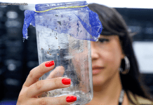 Drones e mosquitos wolbitos: GDF alia tecnologia e controle biológico no combate à dengue