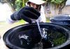 Combate a dengue: Período chuvoso no DF exige atenção redobrada contra focos do aedes aegypti